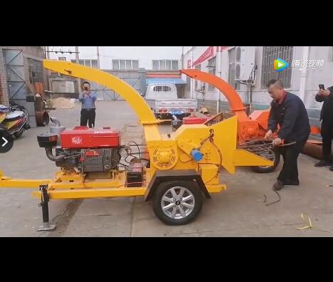 小型樹枝粉碎機視頻現場試機