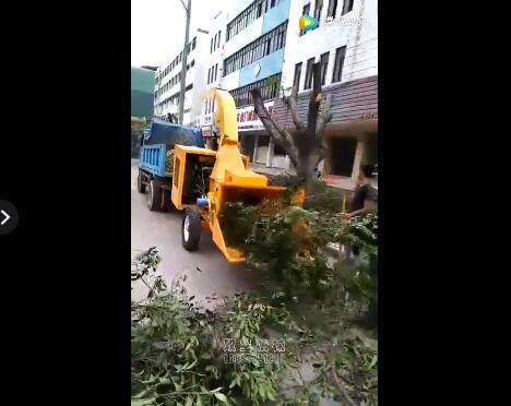 園林樹枝粉碎機視頻作業展示