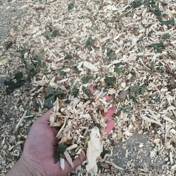 樹(shù)枝粉碎機(jī)粉碎效果-桐木粉碎