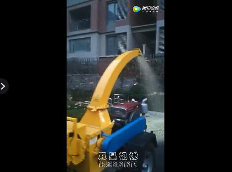 小型樹枝粉碎機視頻及多少錢？
