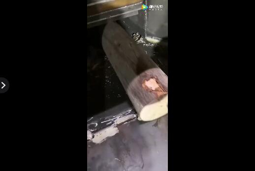 柴油版樹枝粉碎機(jī)粉碎樹干圓木現(xiàn)場視頻